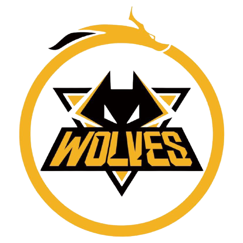 球员强调纪 球员强调纪