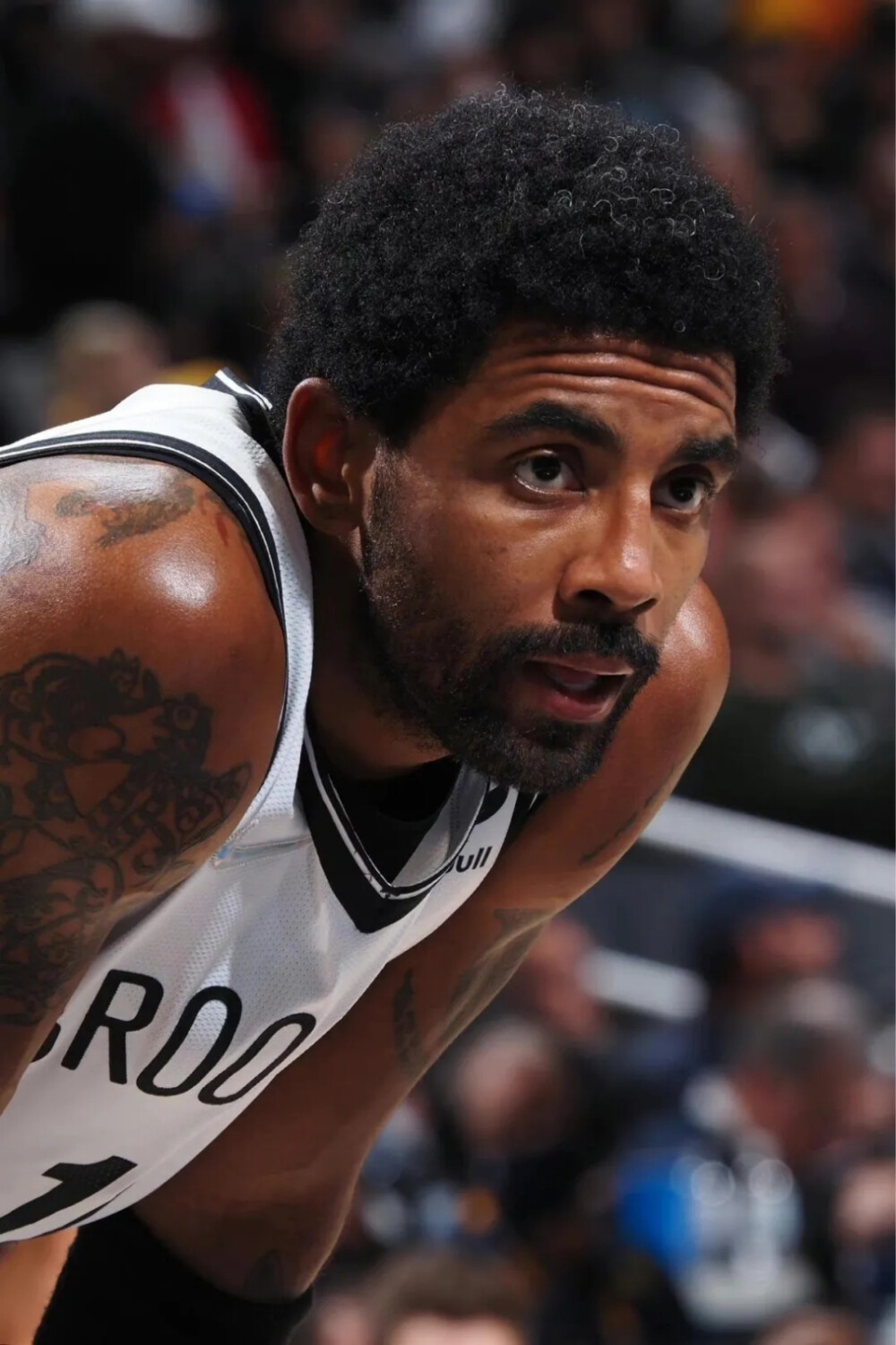 图片的地址 图片的地址